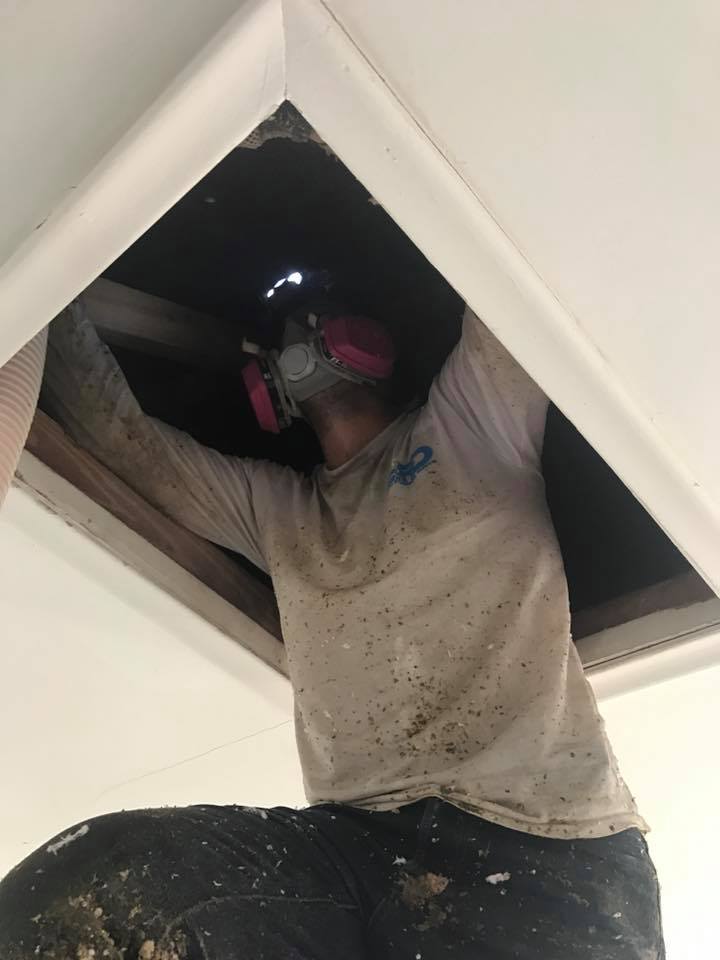 attic insulation cooper city