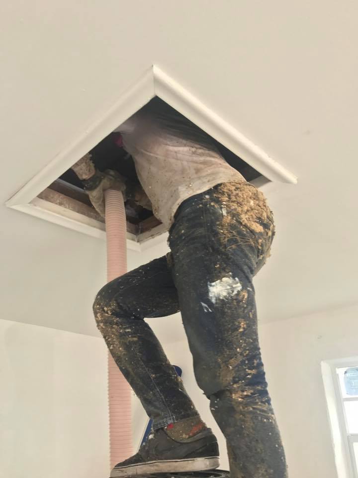 attic insulation davie